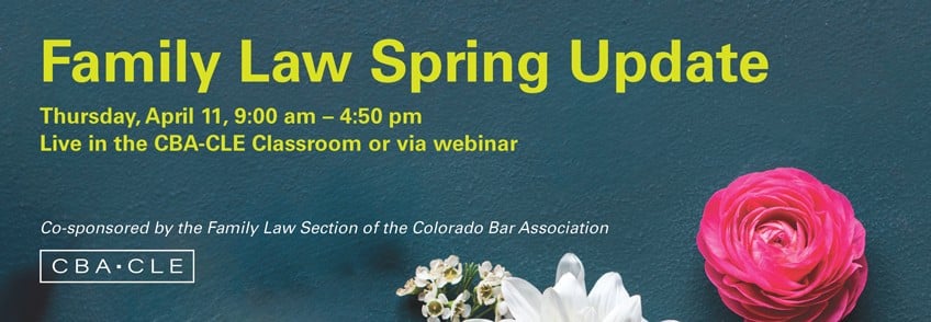Family Law Spring Update